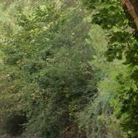 Photo de France - Le Canal du Midi et le tunnel du Malpas